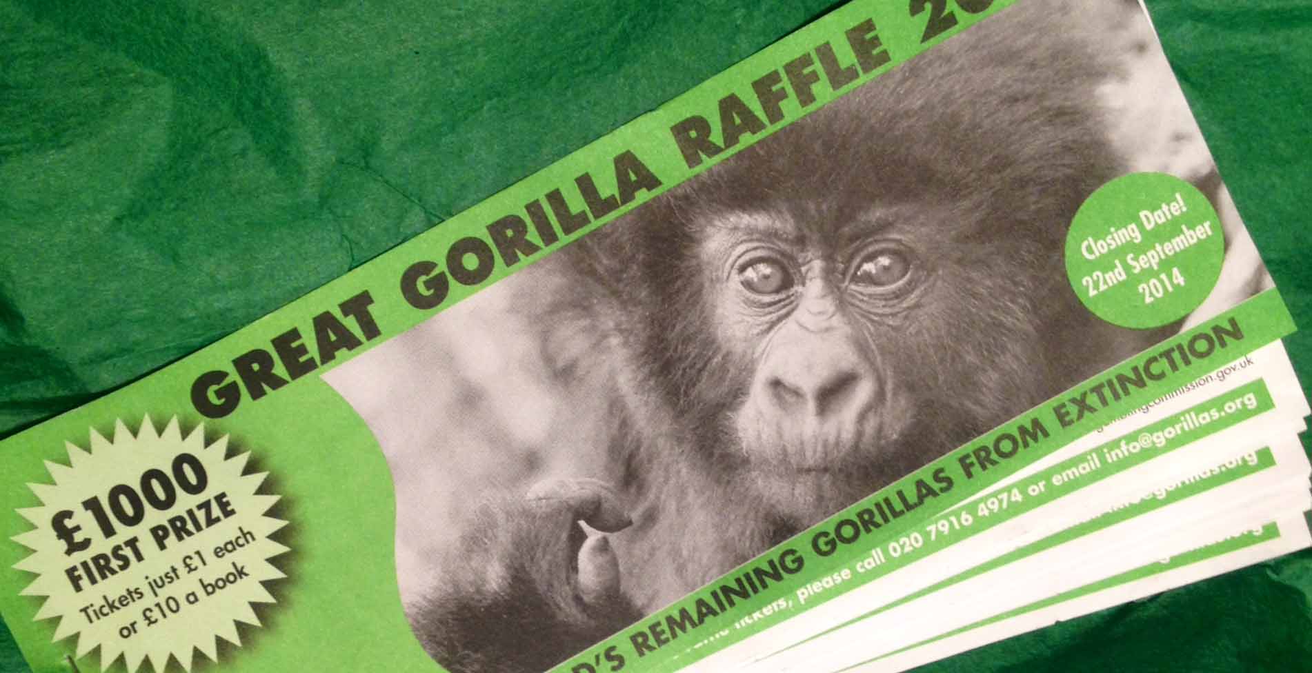 2014 Great Gorilla Raffle Ticket