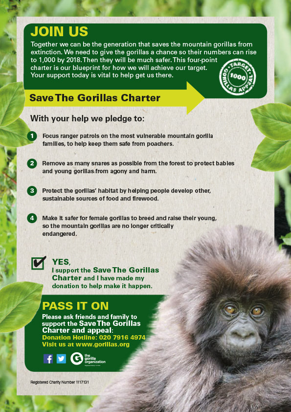Save The Gorillas Charter